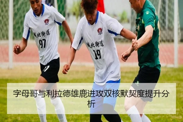 字母哥与利拉德雄鹿进攻双核默契度提升分析